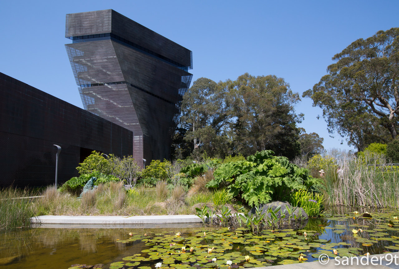 徳杨博物馆的建筑设计颇为惊人 金门公园