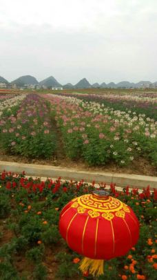 【携程攻略】富川神仙湖花海图片,富川神仙湖