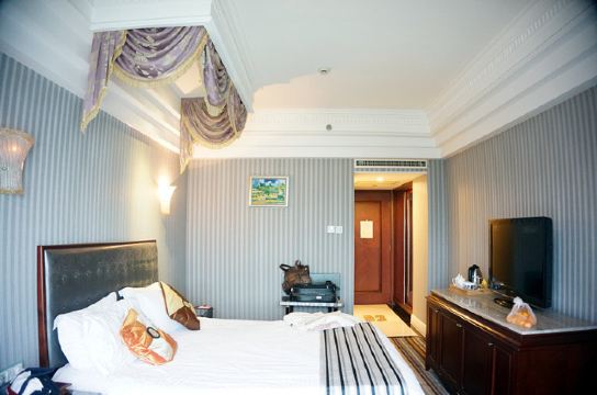 整个房间的色调还是很别致的,呈冷色系.