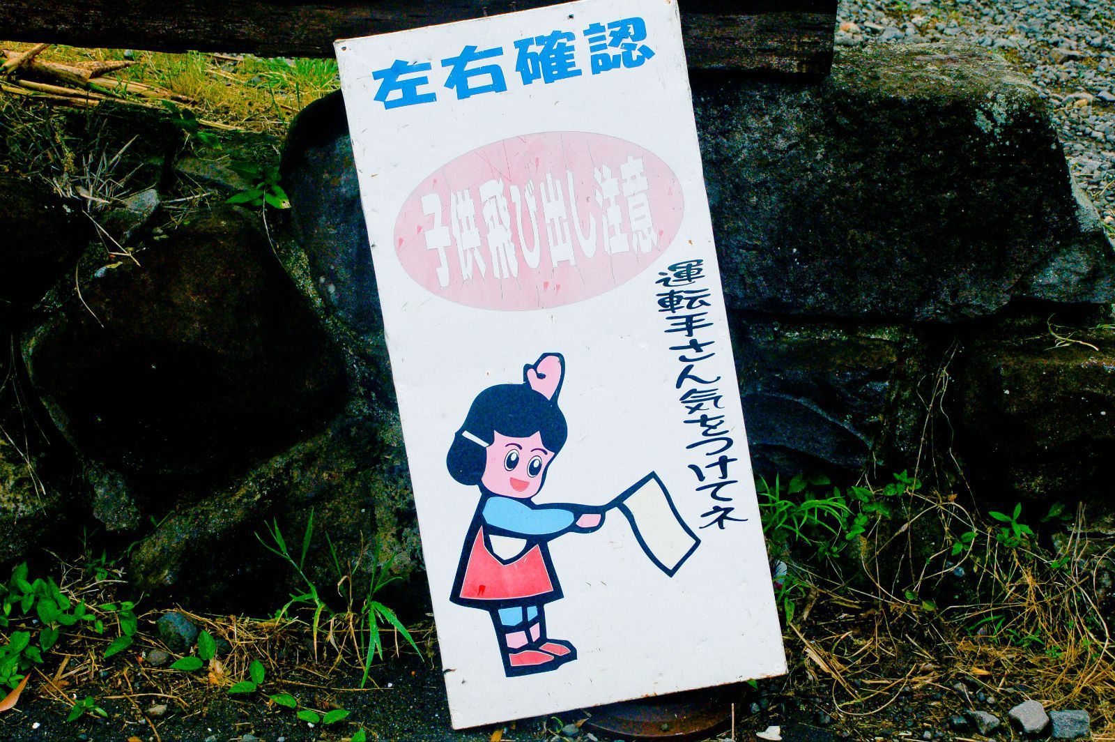 日本九州火车沙发客|8天4千块穿越之旅