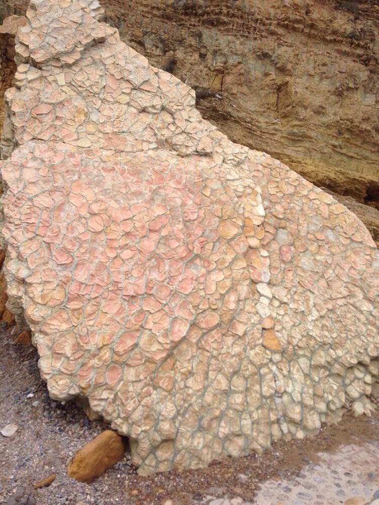 滨海地质公园最远端的龟背石 金石滩度假区