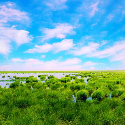 去大草原的湖边—红原若尔盖之旅