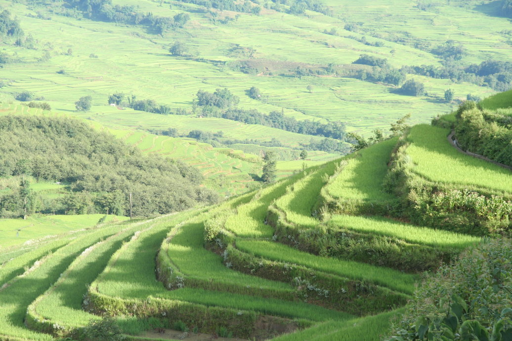 胜村