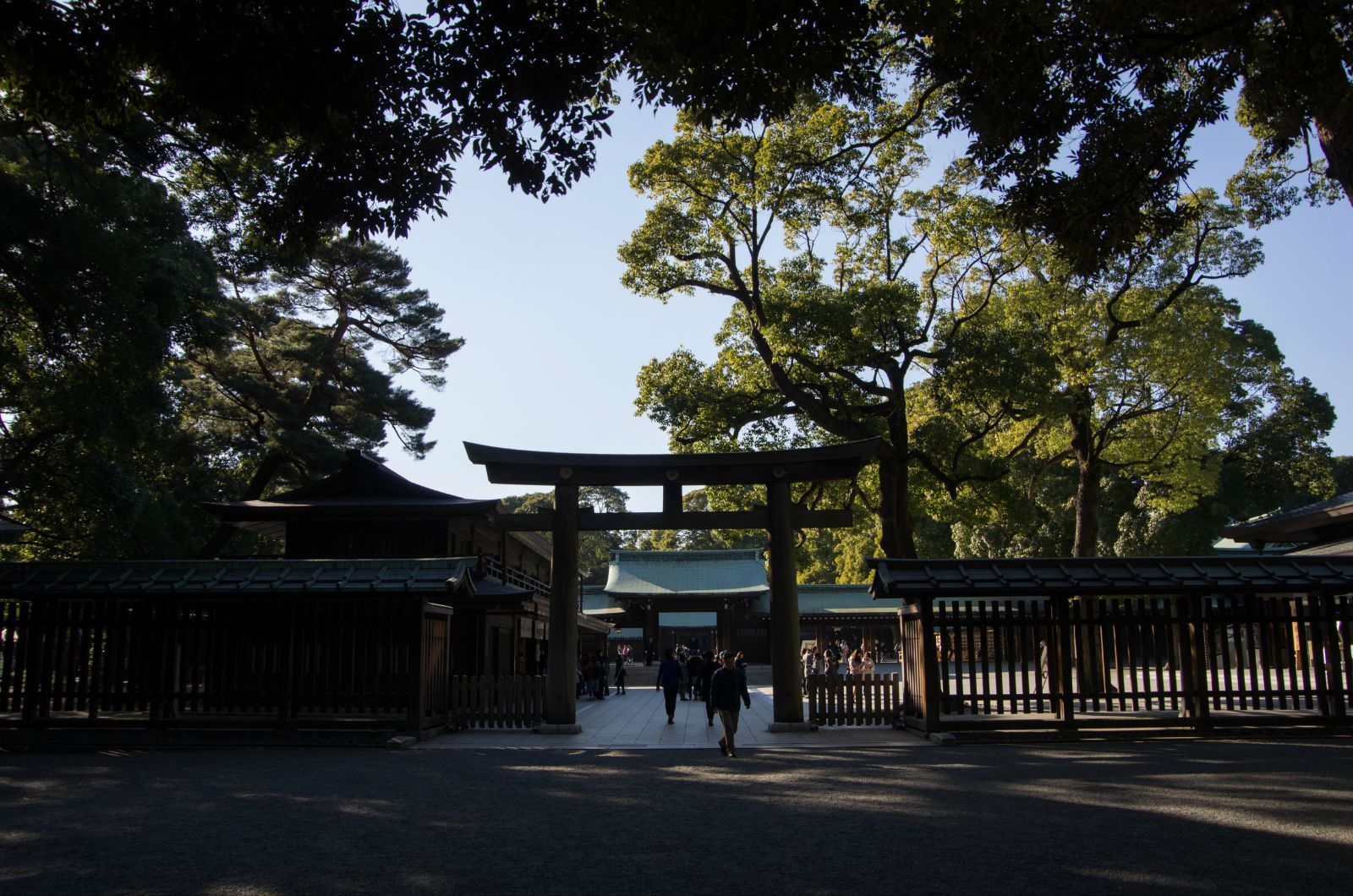 明治神宮到了 明治神宮