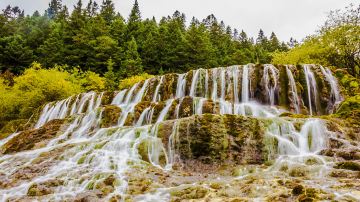 _MG_6466