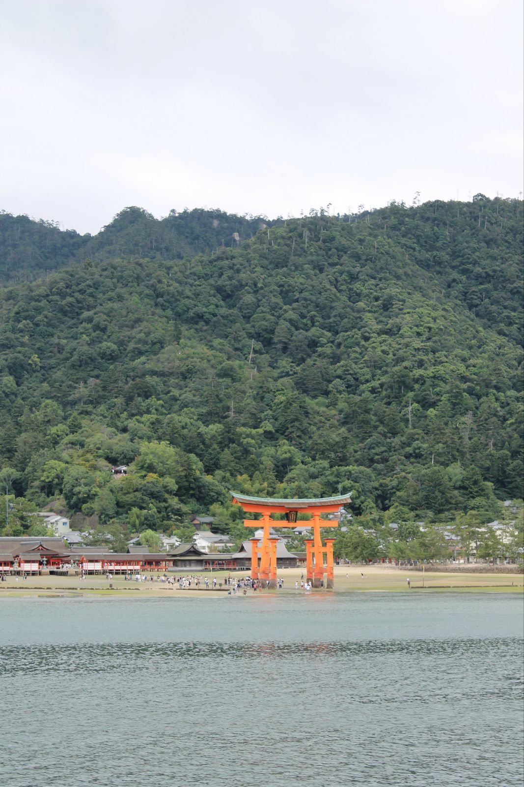 宫岛最有名的神社,一半在水里,可惜这时候没有涨潮,看不出效果