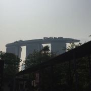 新加坡滨海湾花园景点 非常值得去的景点 全室内冷气的大花园 各种各样来自不同国家的花卉 携程攻略 新加坡滨海湾花园景点 非常值得去的景点 全室内冷气的大花园 各种各样来自不同国家的花卉 携程攻略