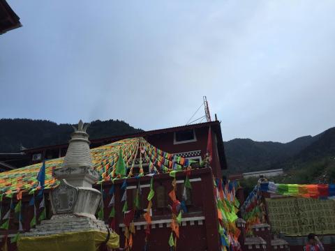 走入藏家,雪域卓玛,据说他们家有一个活佛,鹰组合其中一位就是他们家