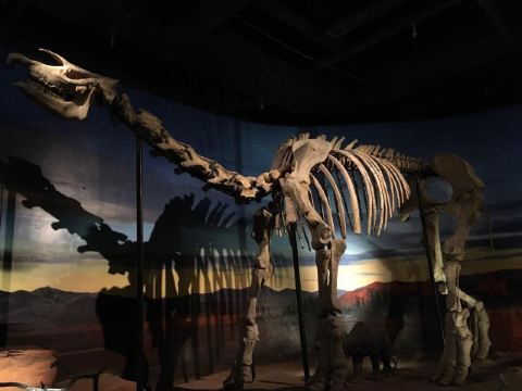 世界尽头和残酷仙境