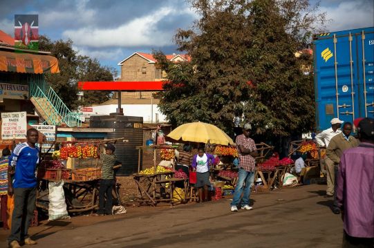 非洲· kenya · 自然游猎之旅 day10-12(4)