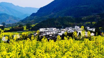 婺源 江岭2