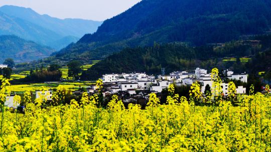 婺源 江岭2
