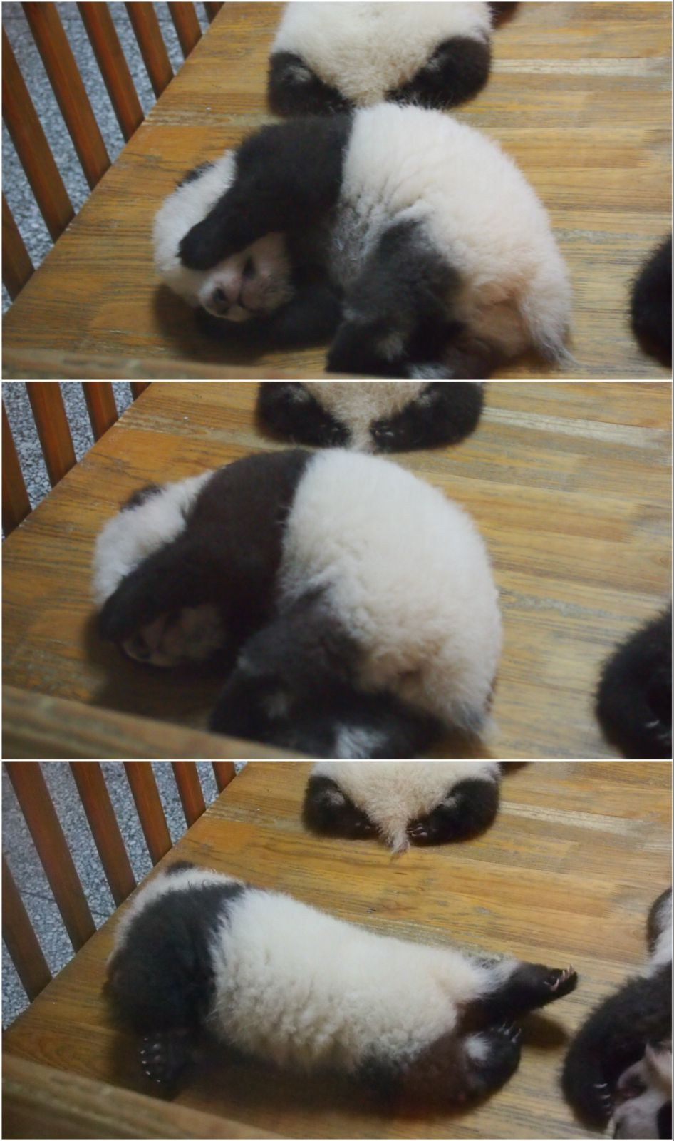 伸懒腰