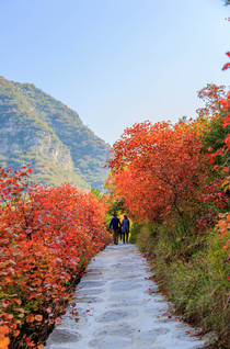 陽泉市平定縣岔口鄉主鋪掌村紅巖嶺自然風景區玉皇洞半日遊