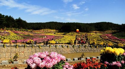 【黃岡】五腦山森林公園門票成人票