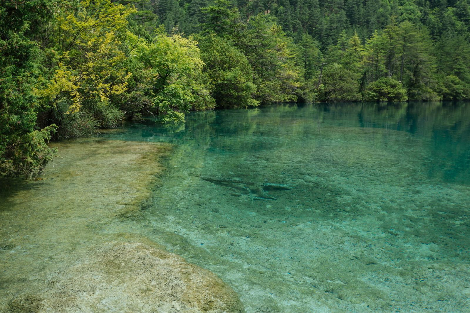 火花海