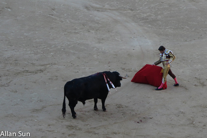 爱上斗牛士系列激情澎湃的马德里斗牛场--A