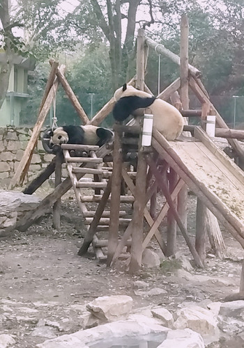 暖水乡人口