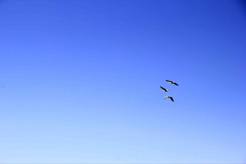 天堂,身体在地狱   109国道 {仙气儿青海湖}日光盛大下蓝得明艳的湖水