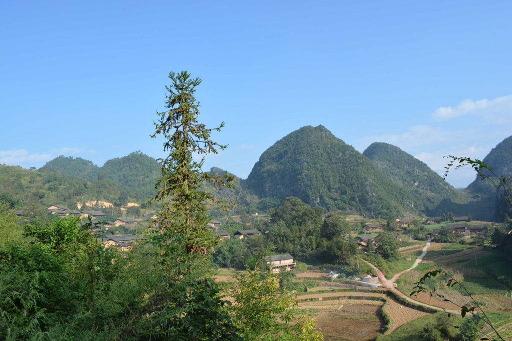 广南县董堡乡里标村