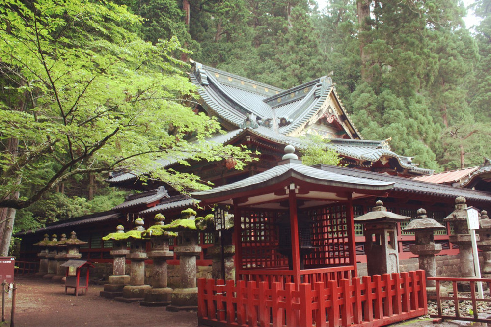 两个妹子的东京7日自由行实用图文攻略 美食景