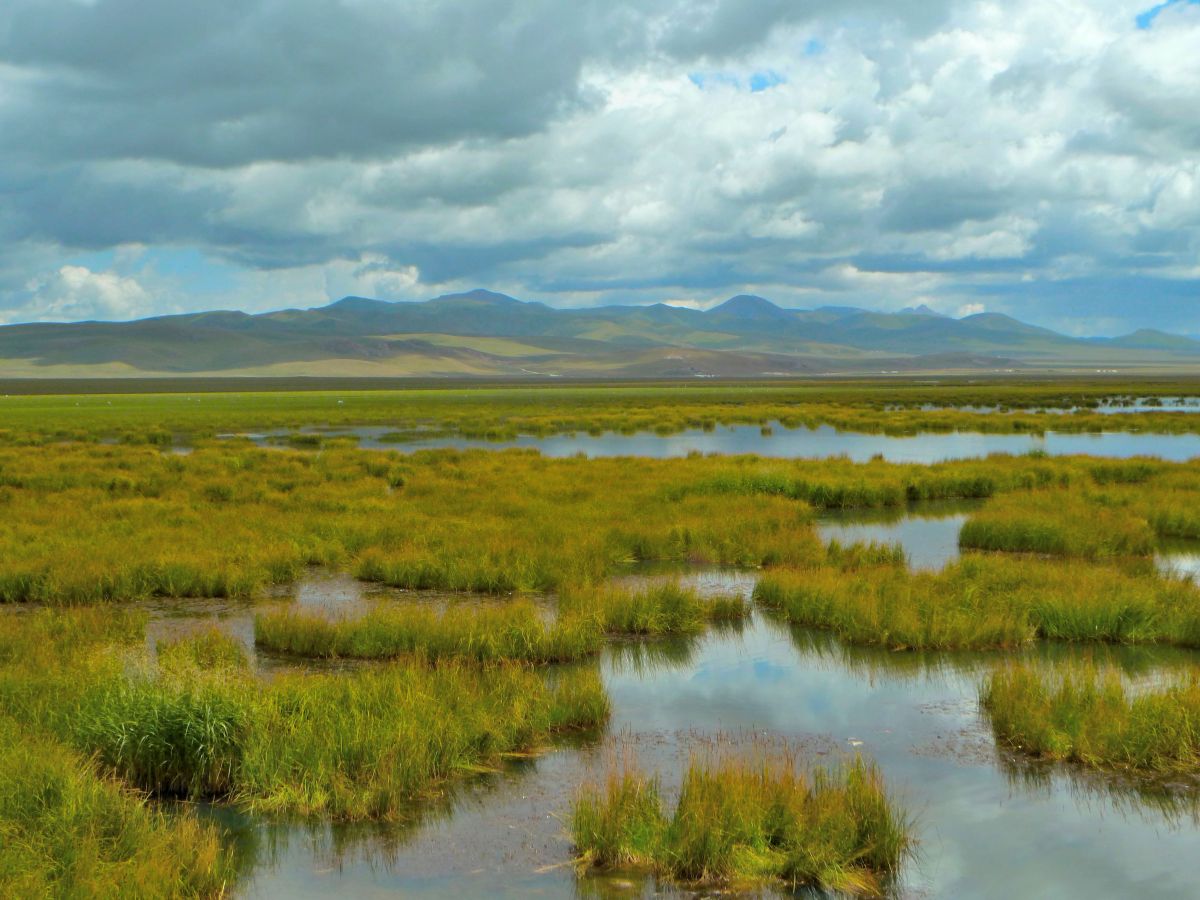 遥远的草原,难忘的若尔盖