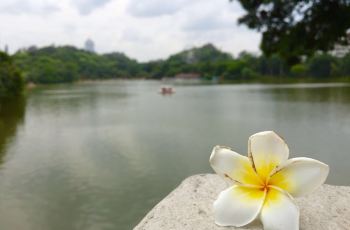 【携程攻略】江门东湖公园团购,东湖公园周边