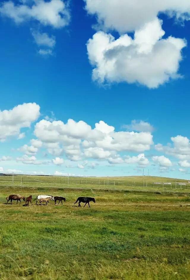 内蒙草原,美到震撼,此生难忘!