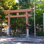 琴似神社景点 札幌市内很不错的神社 樱花开放的时候特别好看 每年元旦当地的居民 携程攻略