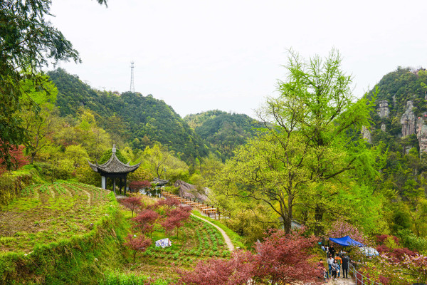 心動春之旅#賞四明美景,尋最美餘姚