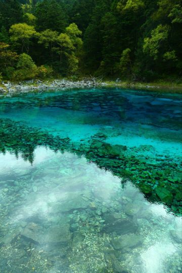 【我的年假】4 四川-看最美的水(3)