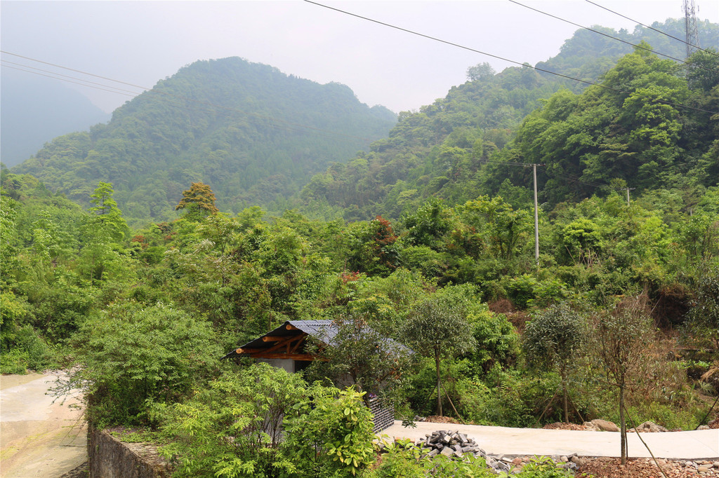 趙公山在我故鄉都江堰市玉堂鎮境內,我卻從未去過,這次5.