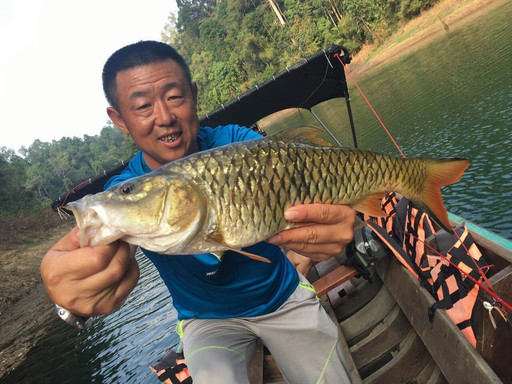 大毛老师打几杆搜索一下 还上了一条小的黑鱼没拍照