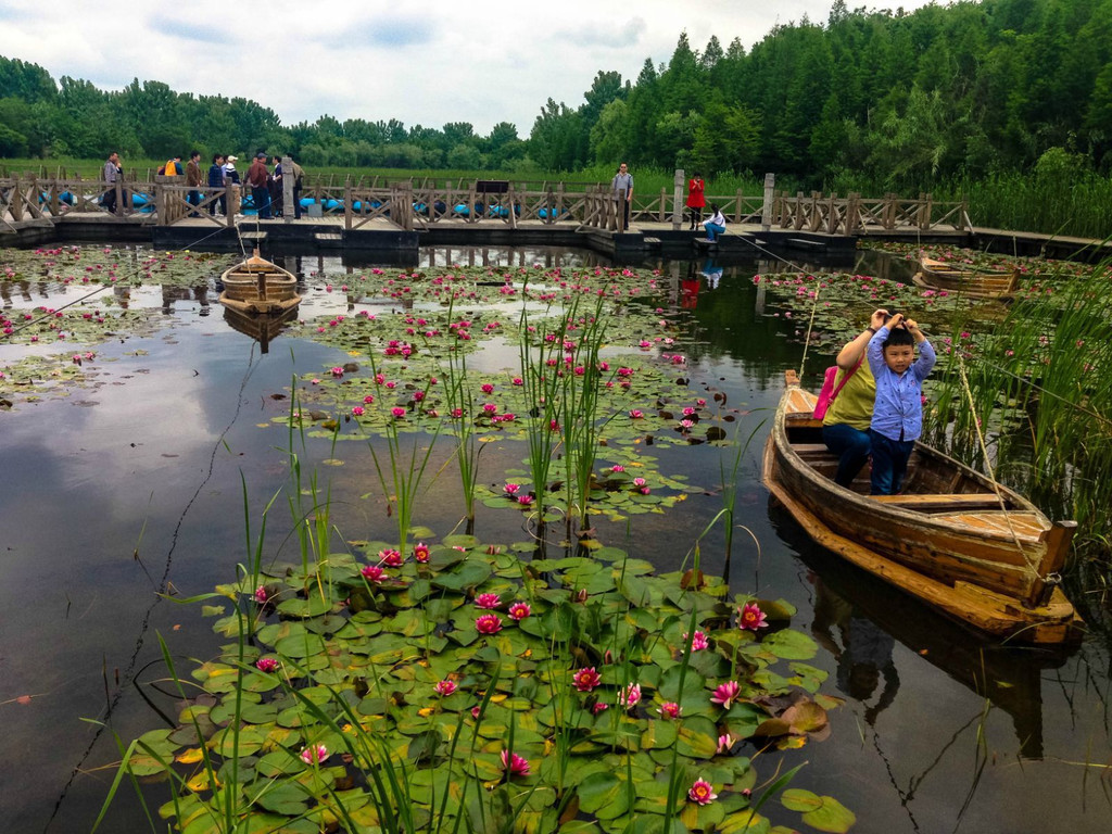 泰州溱湖國家溼地公園一日遊