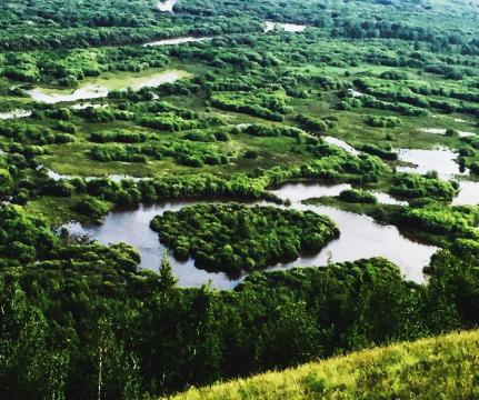 6万公顷,现为内蒙古自治区级自然保护区,位于根河,额尔古纳河,得尔布