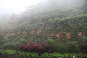 井冈山在江西哪里的 CggYr1bKQmaAT3JTAALBOBkIWZM044_C_350_234_Q90.jpg