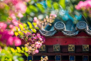 北京恭王府半日游【上下午团可选.可选专属导游私家团】【[纯玩无购物]全程无隐性消费，安心舒适尽享美景，放心玩！】