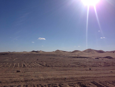 金秋额济纳旗的美好回忆!