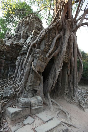 热带雨林的暴力 忘却神庙3