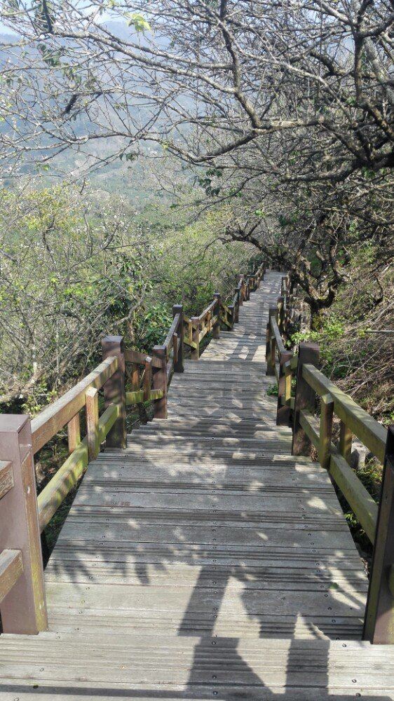 高雄宝来温泉攻略 宝来温泉门票价格多少钱 团购票价预定优惠 景点地址图片 携程攻略