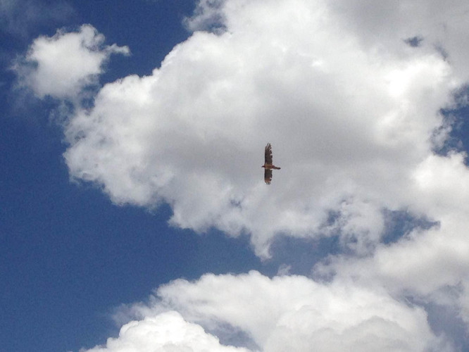 徒步川藏线100天 - 四川游记攻略【携程攻略】