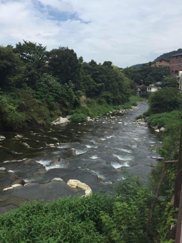 溪水层层叠叠顺山势缓缓流淌,这里的形状有点像黄龙,只是没有黄龙的