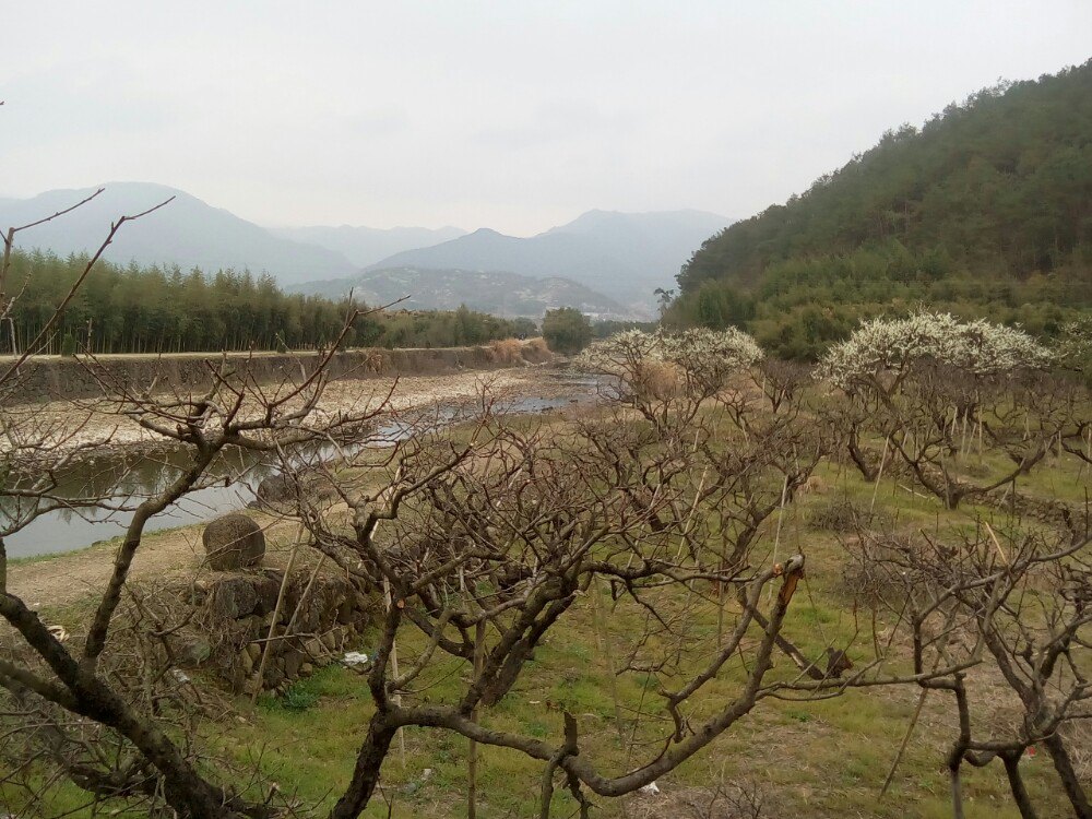 瞻山风景区