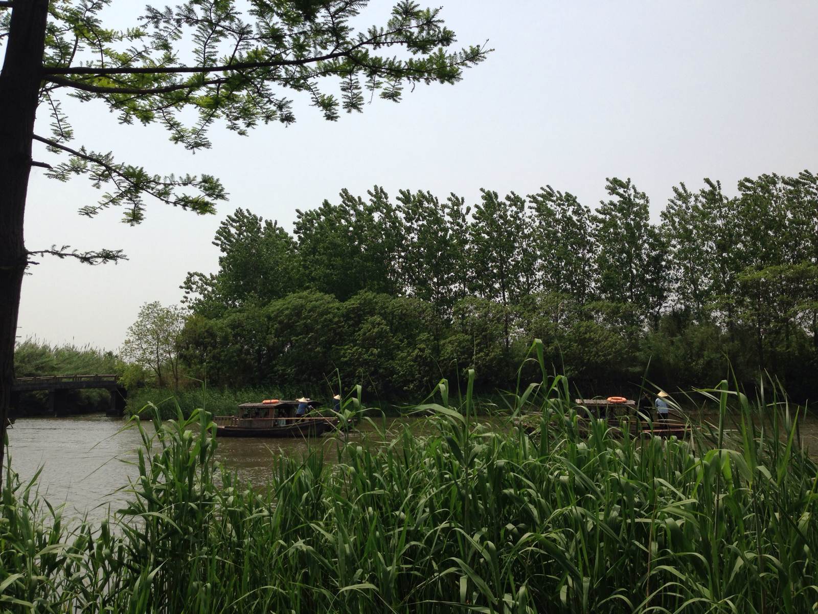 溱湖國家溼地公園