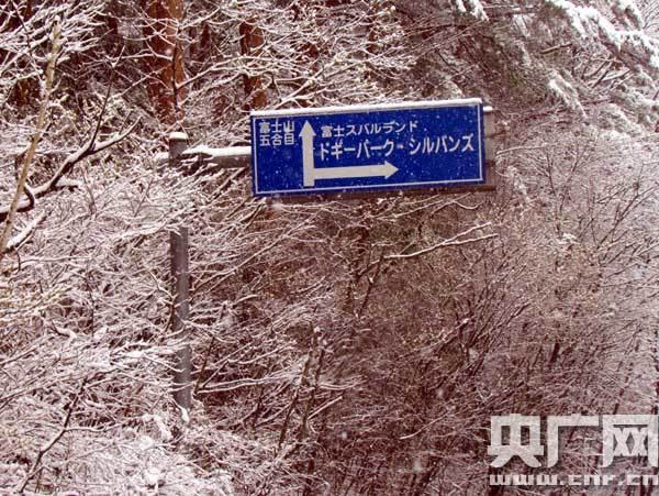 海涛旅游 北京国安球迷团日本助威亚冠赛散记