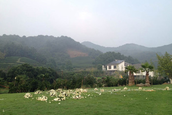 老总去山村_山村风景(2)