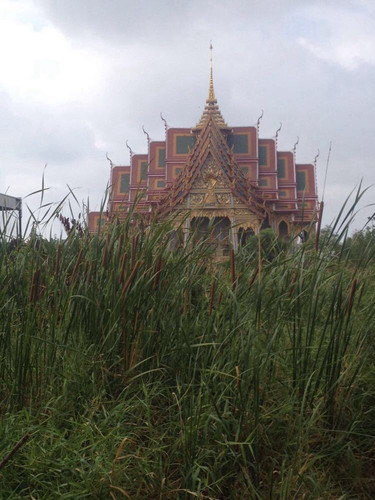 我所了解的曼谷市邦纳区的帮骚同街道