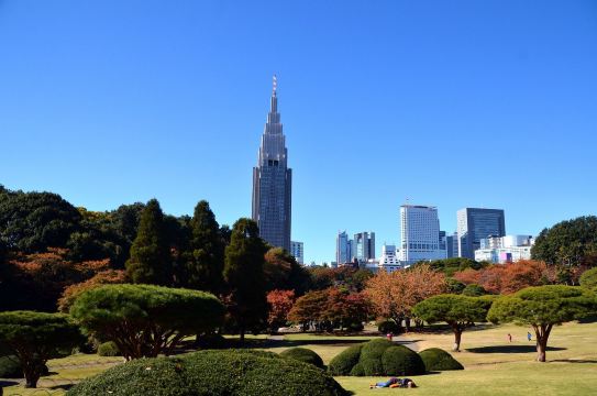 筑地市场