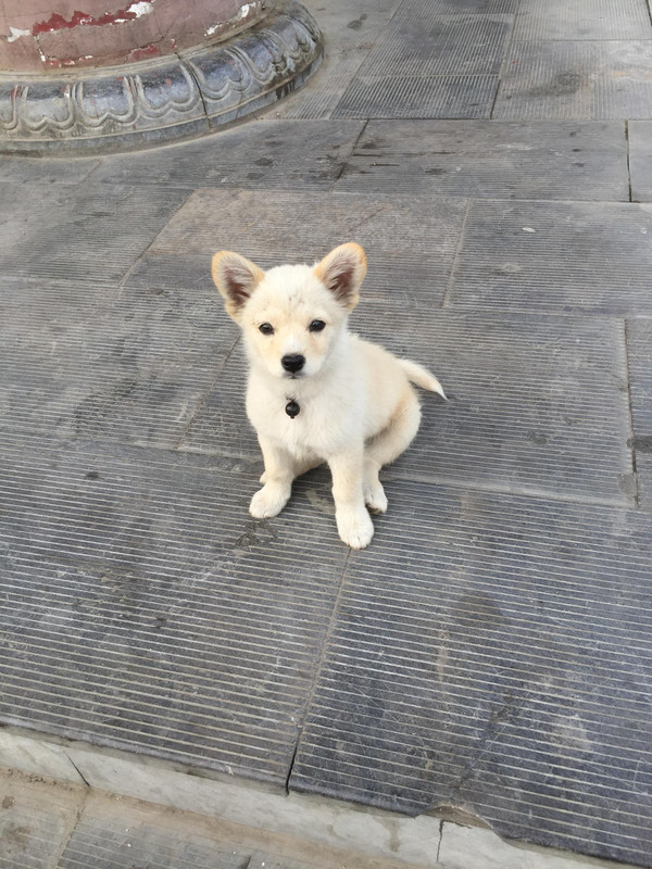 河南~陕西9日行,女神女皇的朝拜之路