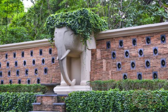 酒店的围墙也很有自己的风格,大象的雕塑,头上长满绿篱,可爱俏皮.